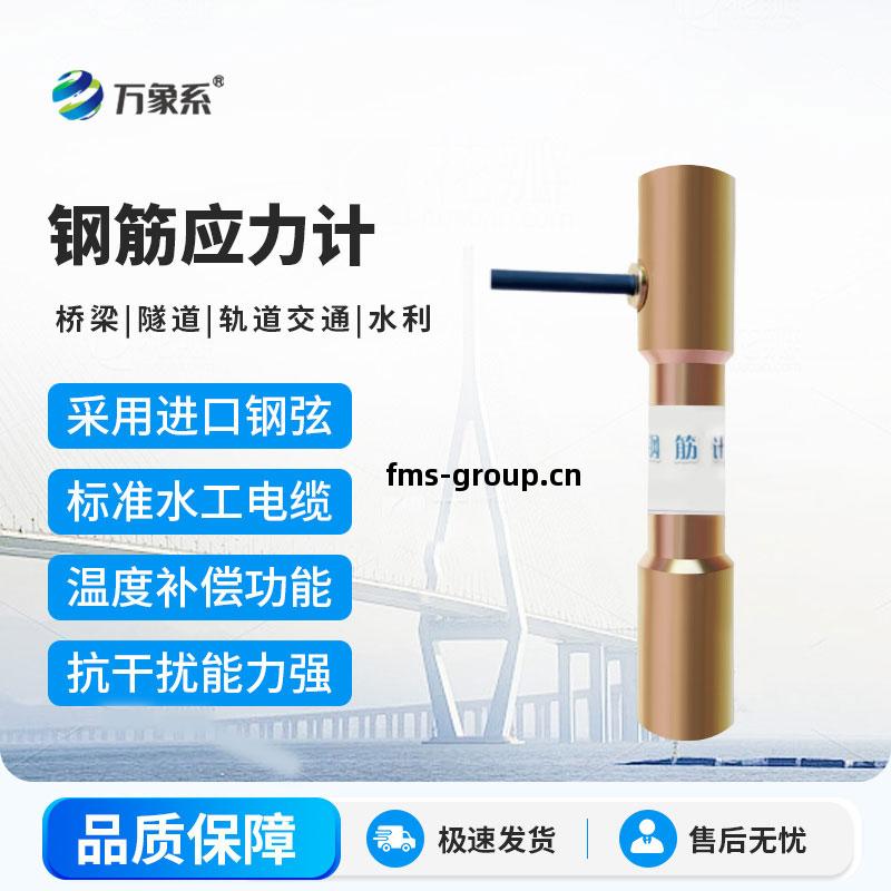 鋼(gang)筋應(ying)力(li)計(ji)