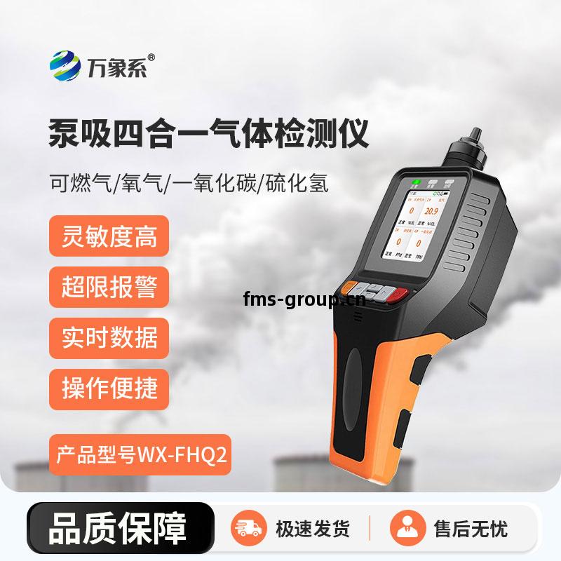 便攜(xie)式氣體檢(jian)測(ce)儀(yi)