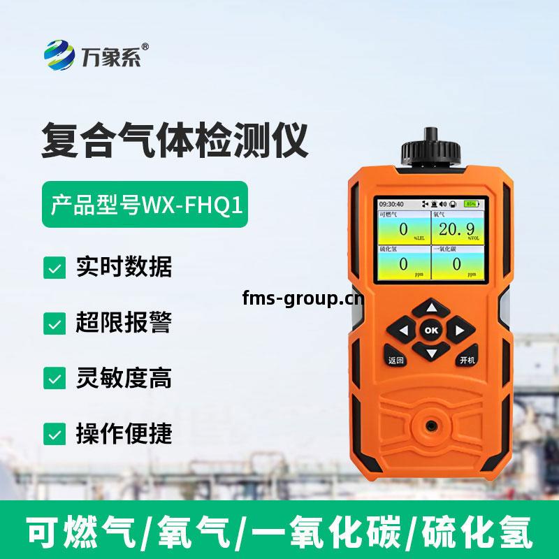 復(fu)合(he)氣體檢(jian)測(ce)儀(yi)