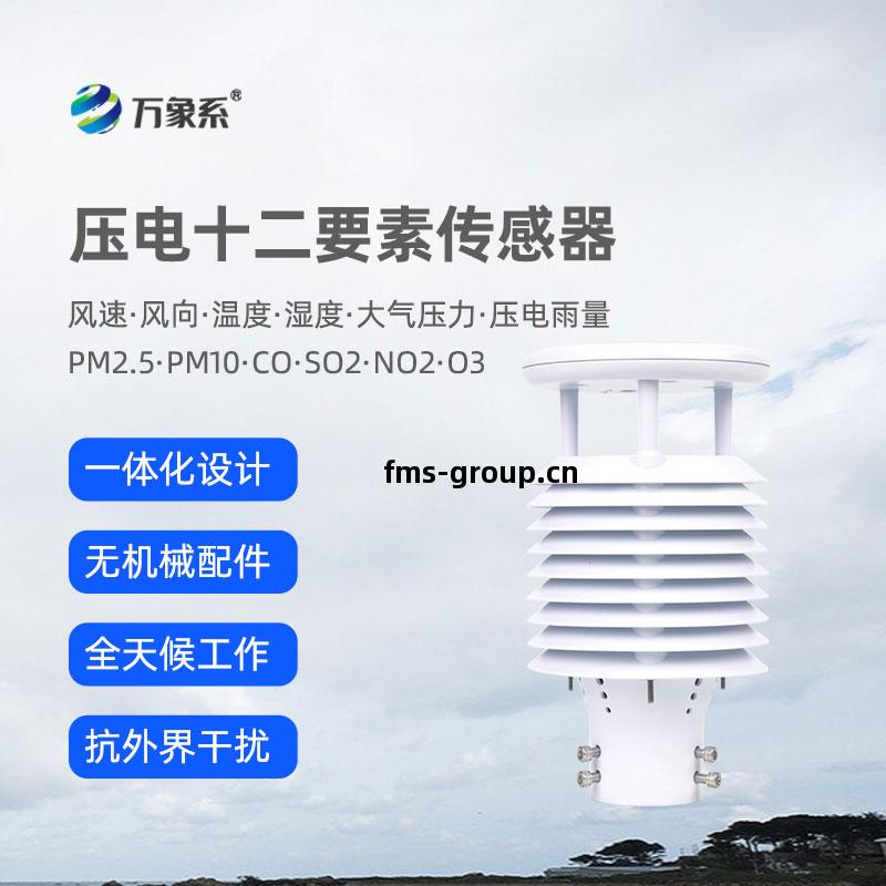 壓電(dian)十(shi)二(er)要素傳(chuan)感(gan)器(qi)