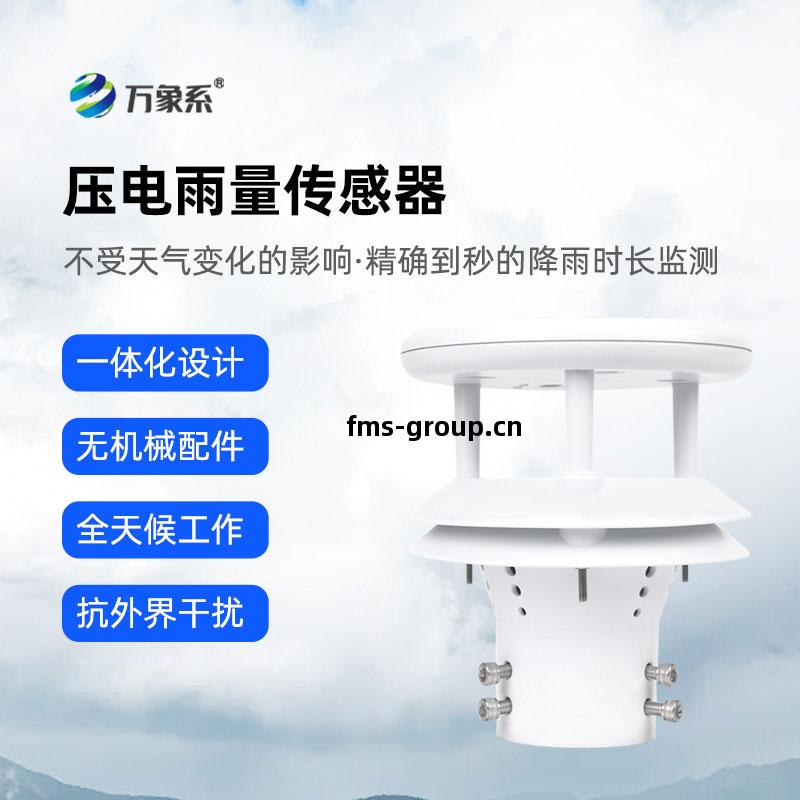 壓電(dian)雨量(liang)傳(chuan)感(gan)器(qi)