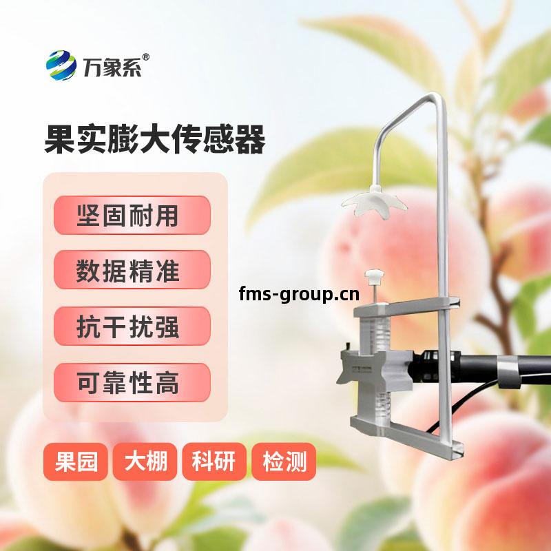 果實(shi)膨大(da)傳(chuan)感(gan)器