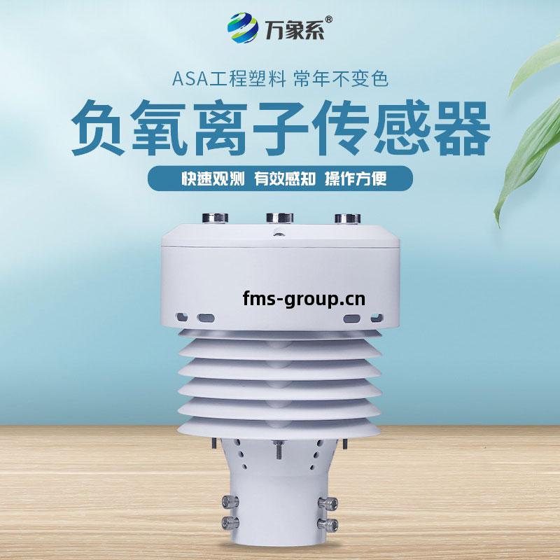 負(fu)氧離(li)子傳(chuan)感器